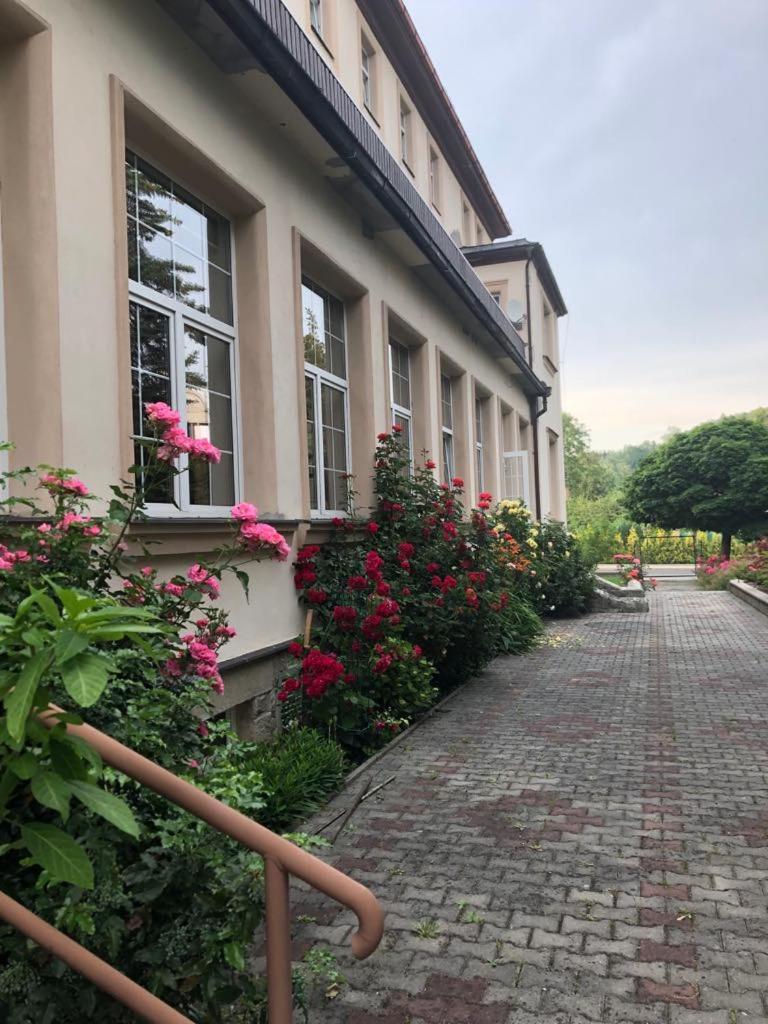 Grandhotel Nový Bor Exteriör bild